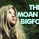 Illustration for article titled Read this, if you dare: The hottest new trend in eBooks is Bigfoot erotica